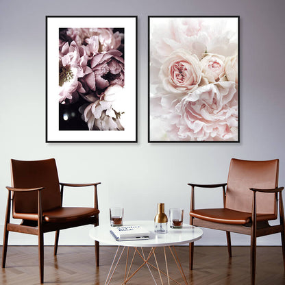 Purple Peony